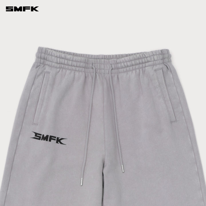 FUTURE GENETICS WIDE LEG SWEATPANTS DUSTY GRAY
